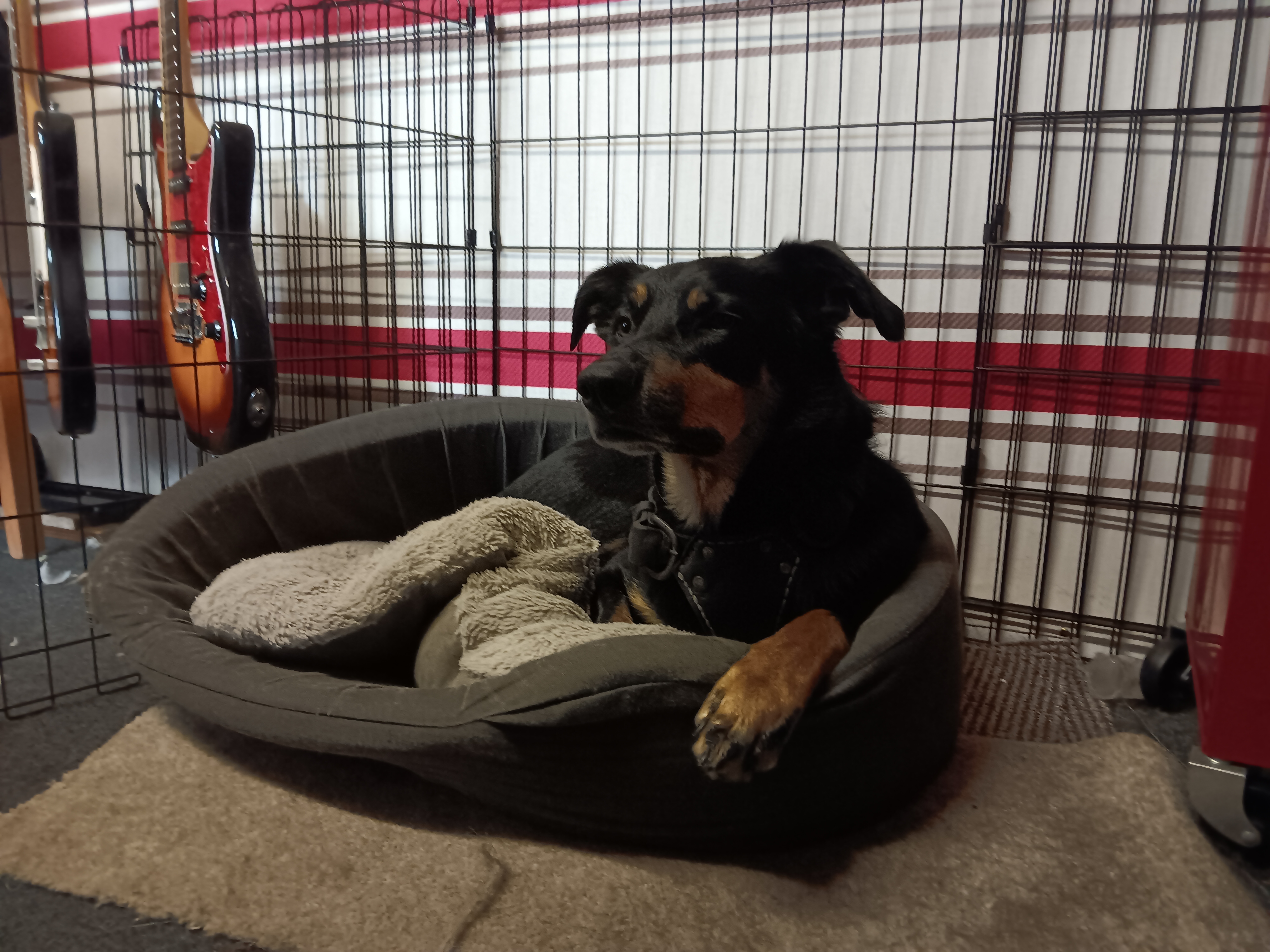 Lessons for all ages